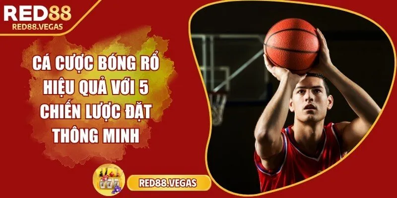 Cá cược bóng rổ hiệu quả với 5 chiến lược đặt thông minh