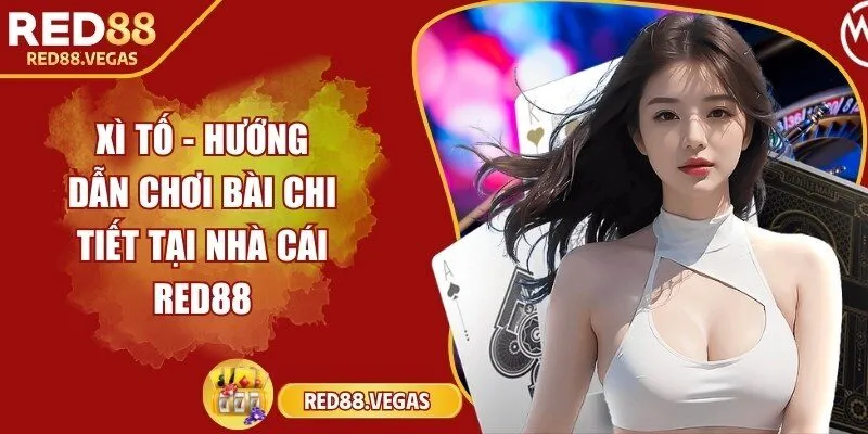 Xì tố - Hướng dẫn chơi bài chi tiết tại nhà cái Red88